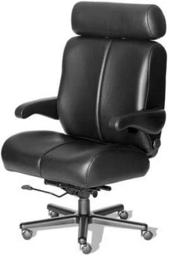 ERA Big Sur Heavy Duty Executive Chair [OF-BIGS]